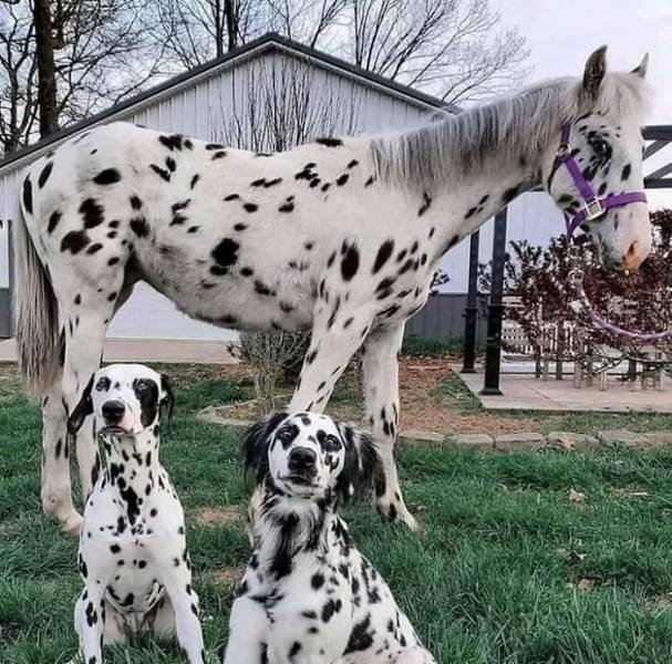 Life Is Beautiful (47 pics)