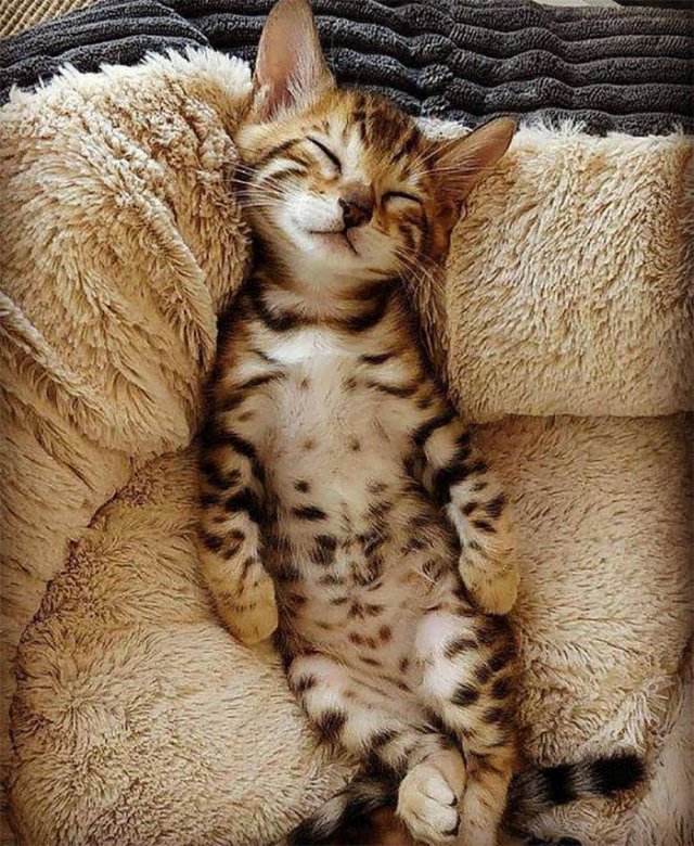 Life Is Beautiful (47 pics)