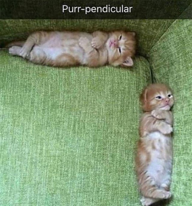 Life Is Beautiful (47 pics)