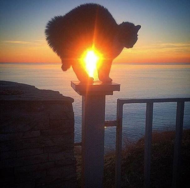 Life Is Beautiful (47 pics)