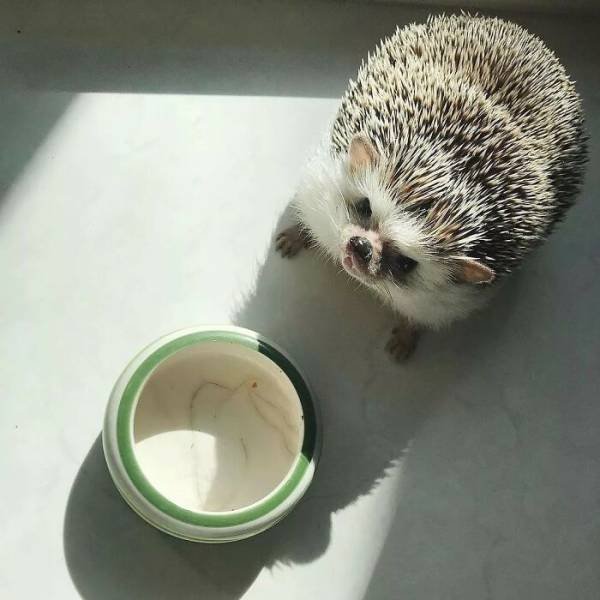 Life Is Beautiful (47 pics)