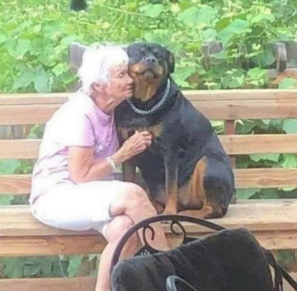 Life Is Beautiful (47 pics)