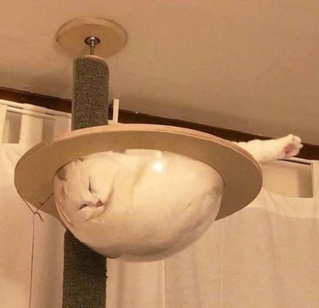Life Is Beautiful (47 pics)