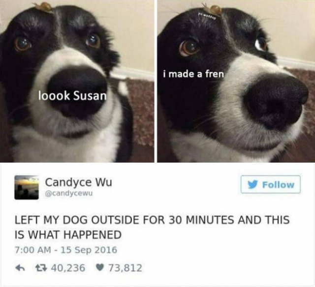 Life Is Beautiful (47 pics)
