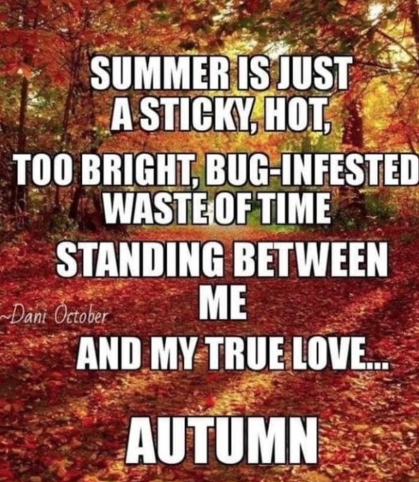 People Who Love Autumn Memes (30 pics)