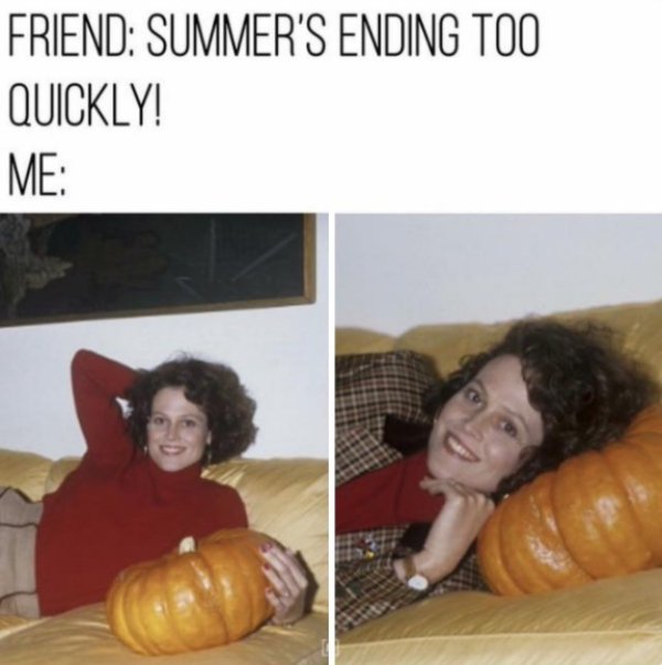 People Who Love Autumn Memes (30 pics)