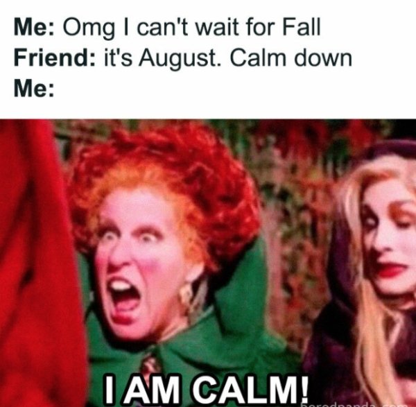 People Who Love Autumn Memes (30 pics)