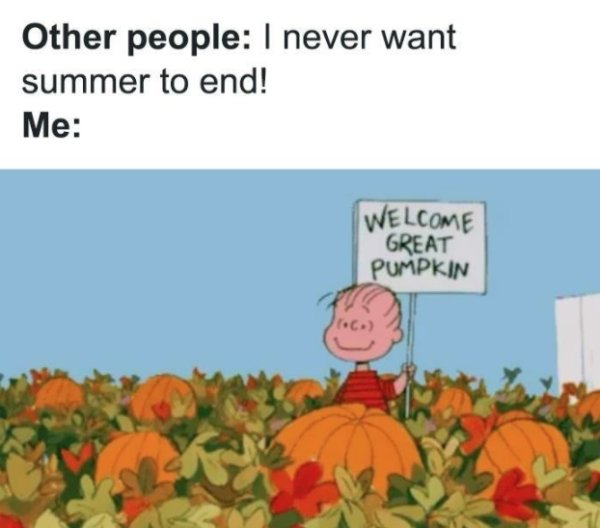 People Who Love Autumn Memes (30 pics)