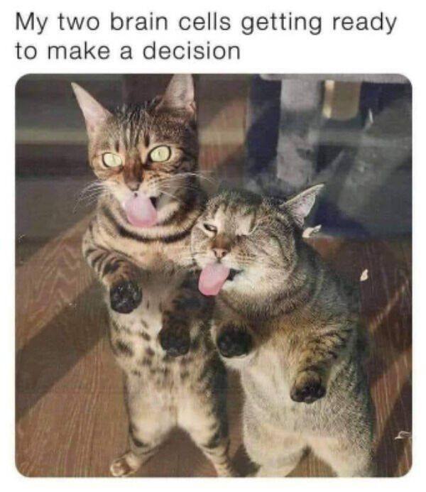 So True (48 pics)