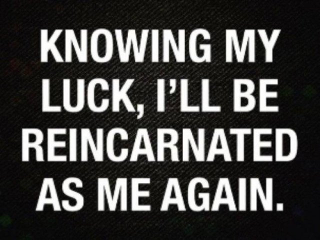 So True (48 pics)