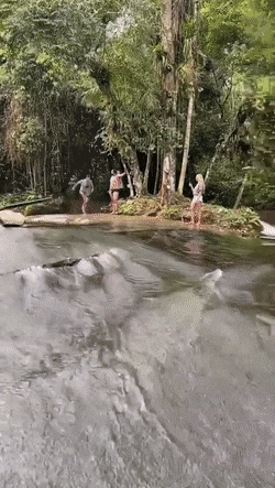 Life Is Beautiful (32 pics)
