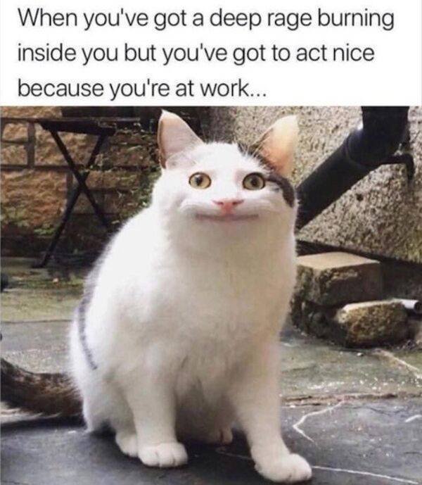 So True (48 pics)