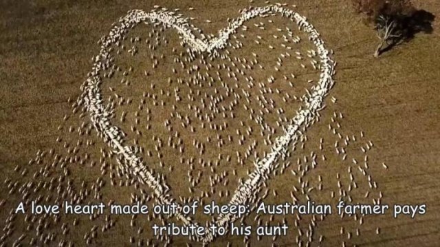 Acid Picdump 1 (83 pics)