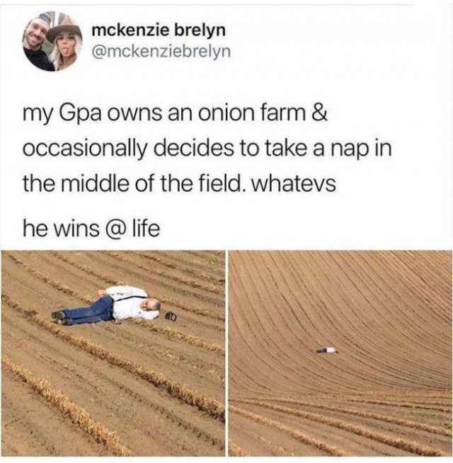 Life Is Beautiful (32 pics)