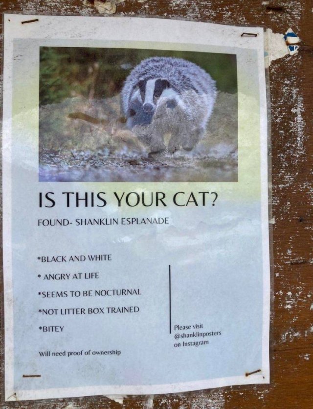 Acid Picdump 1 (83 pics)