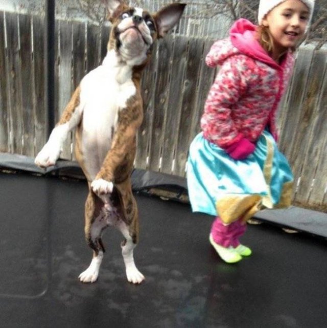 Life Is Beautiful (32 pics)