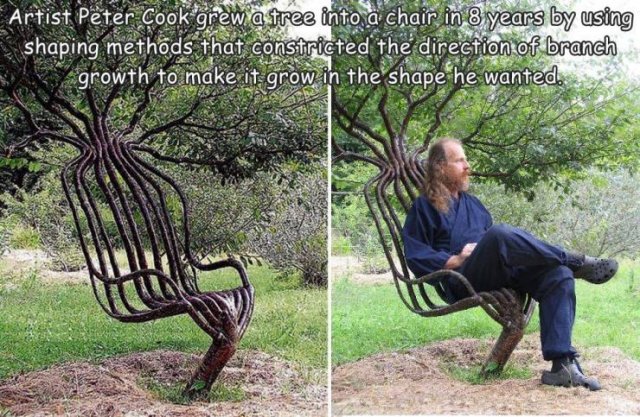 Acid Picdump 2 (81 pics)