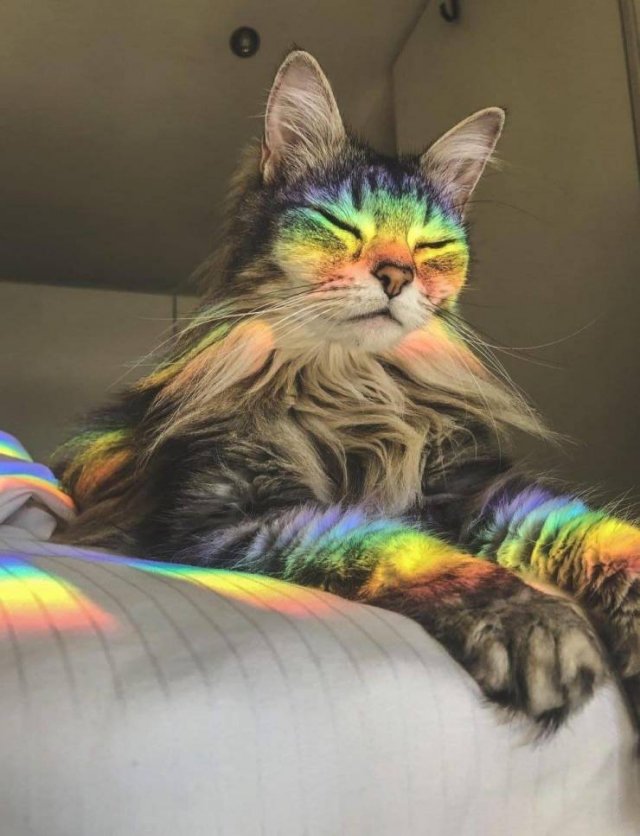 Acid Picdump 2 (81 pics)