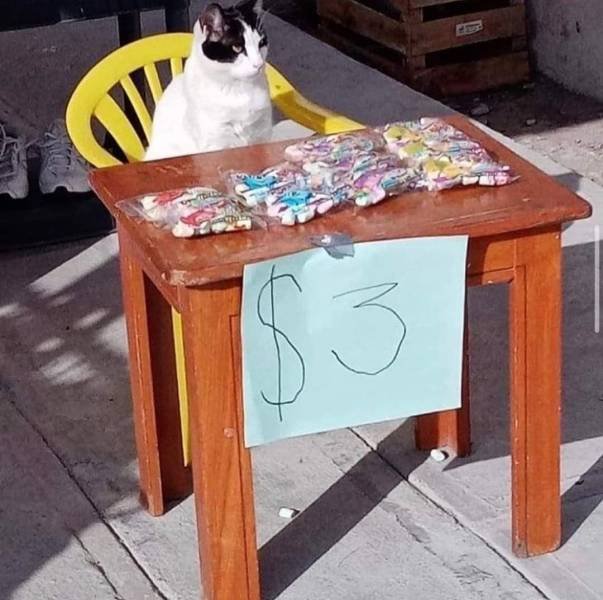 Acid Picdump 1 (83 pics)