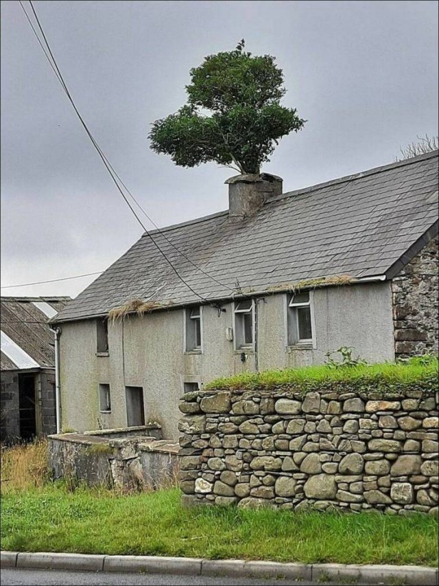 Acid Picdump 1 (83 pics)