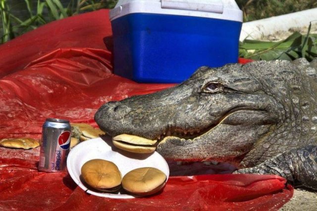 Acid Picdump 2 (81 pics)