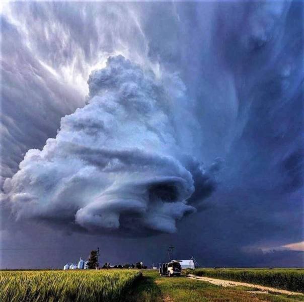 Acid Picdump 1 (83 pics)