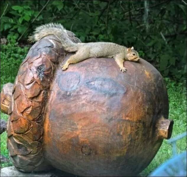 Acid Picdump 1 (83 pics)