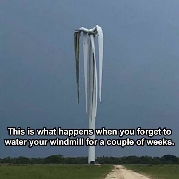 Acid Picdump 2 (81 pics)