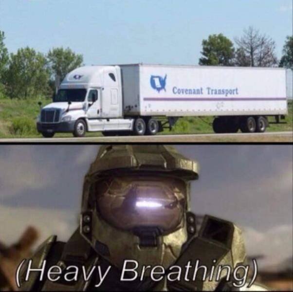 Pictures For Gamers (50 pics)