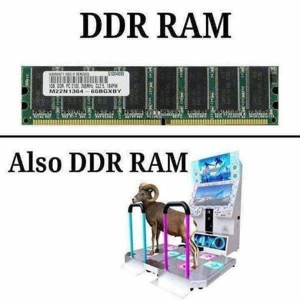 Pictures For Gamers (50 pics)