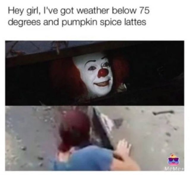 Autumn Memes (29 pics)