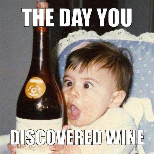 National Wine Day Humor (30 pics)