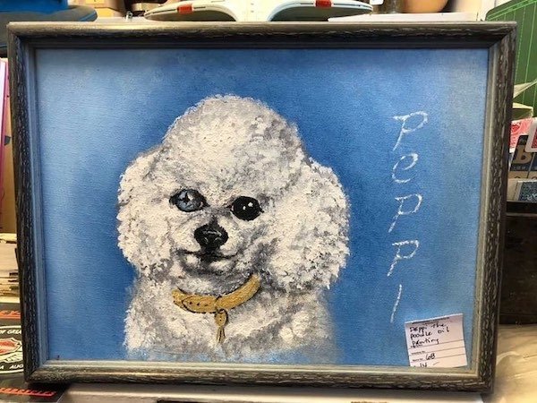 Weird Thrift Shop Finds (31 pics)