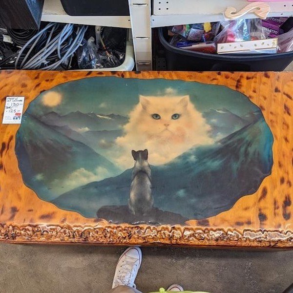 Weird Thrift Shop Finds (31 pics)