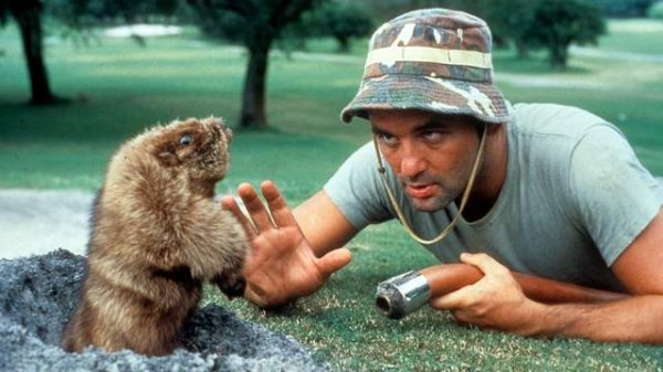 Great Summer Movies (28 pics)