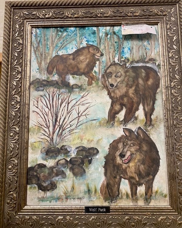 Weird Thrift Shop Finds (31 pics)