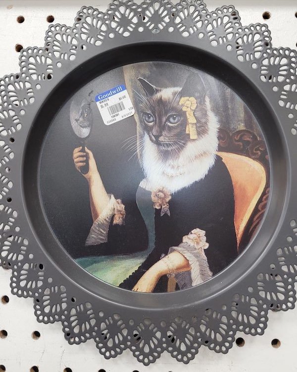 Weird Thrift Shop Finds (31 pics)