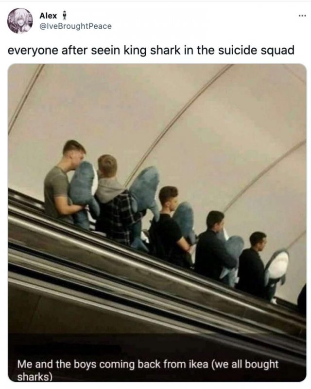 The Suicide Squad Memes (28 pics)