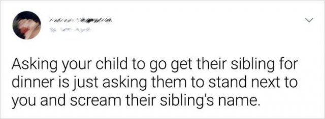Living With Siblings (20 pics)