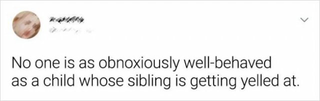 Living With Siblings (20 pics)