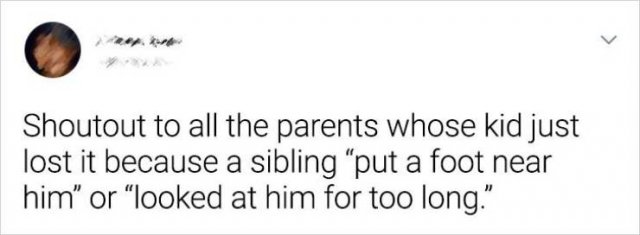 Living With Siblings (20 pics)