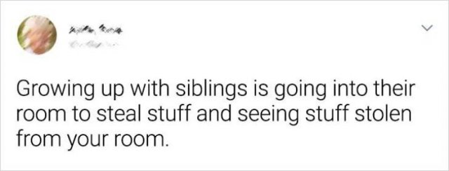 Living With Siblings (20 pics)