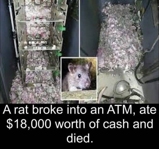 Acid Picdump 2 (46 pics)