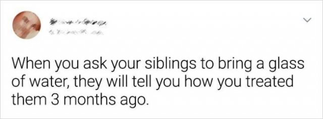 Living With Siblings (20 pics)