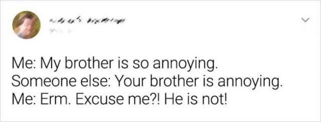 Living With Siblings (20 pics)