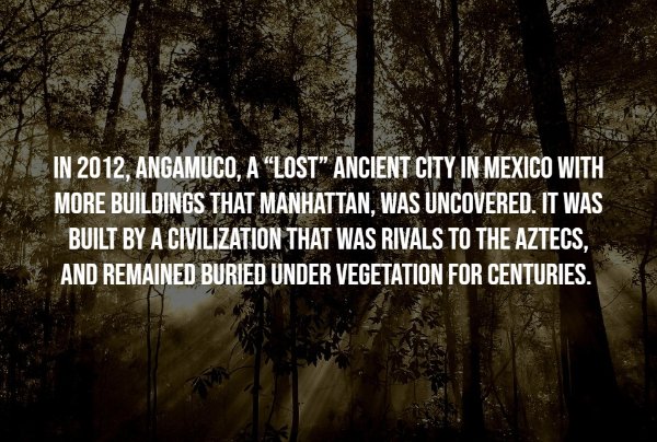 Intriguing Facts (17 pics)