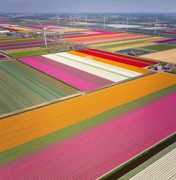Special Things In Different Countries (24 pics) Special Things In Different Countries (24 pics)