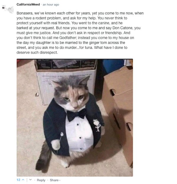 Funny Comments (76 pics)