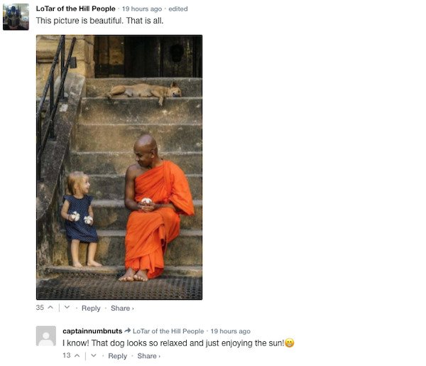Funny Comments (76 pics)