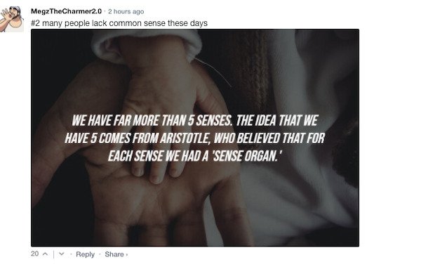 Funny Comments (76 pics)